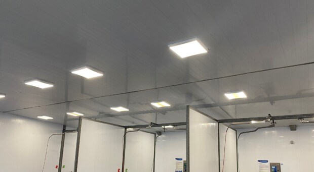 plafond de wasbeer