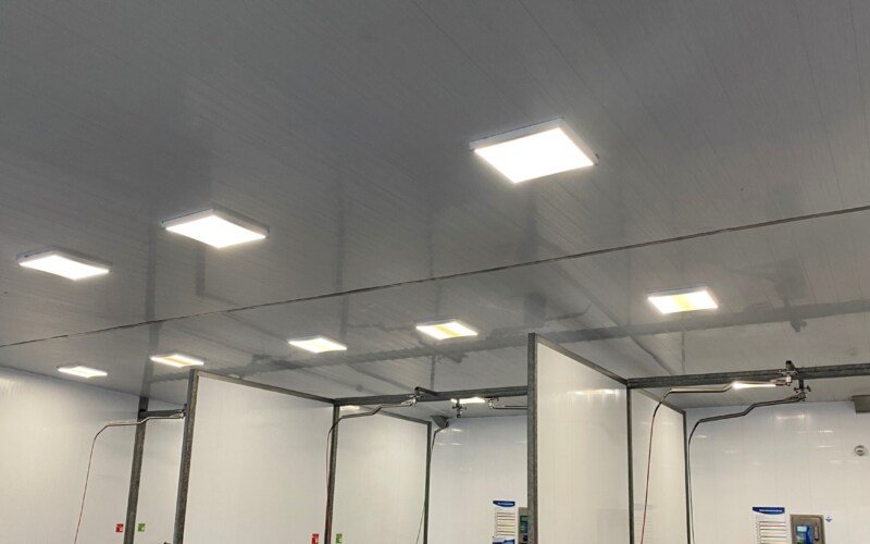 plafond de wasbeer